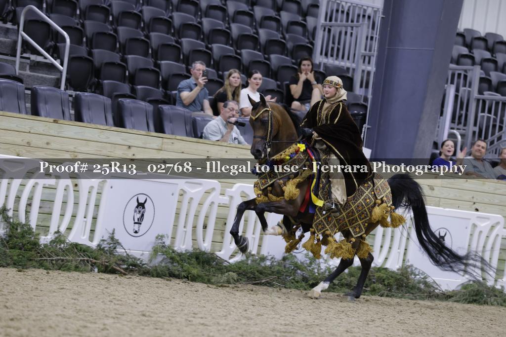 Proof Number 25R13_02768
