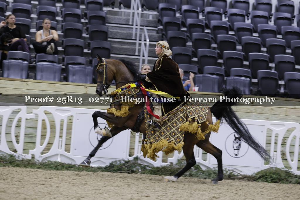 Proof Number 25R13_02771