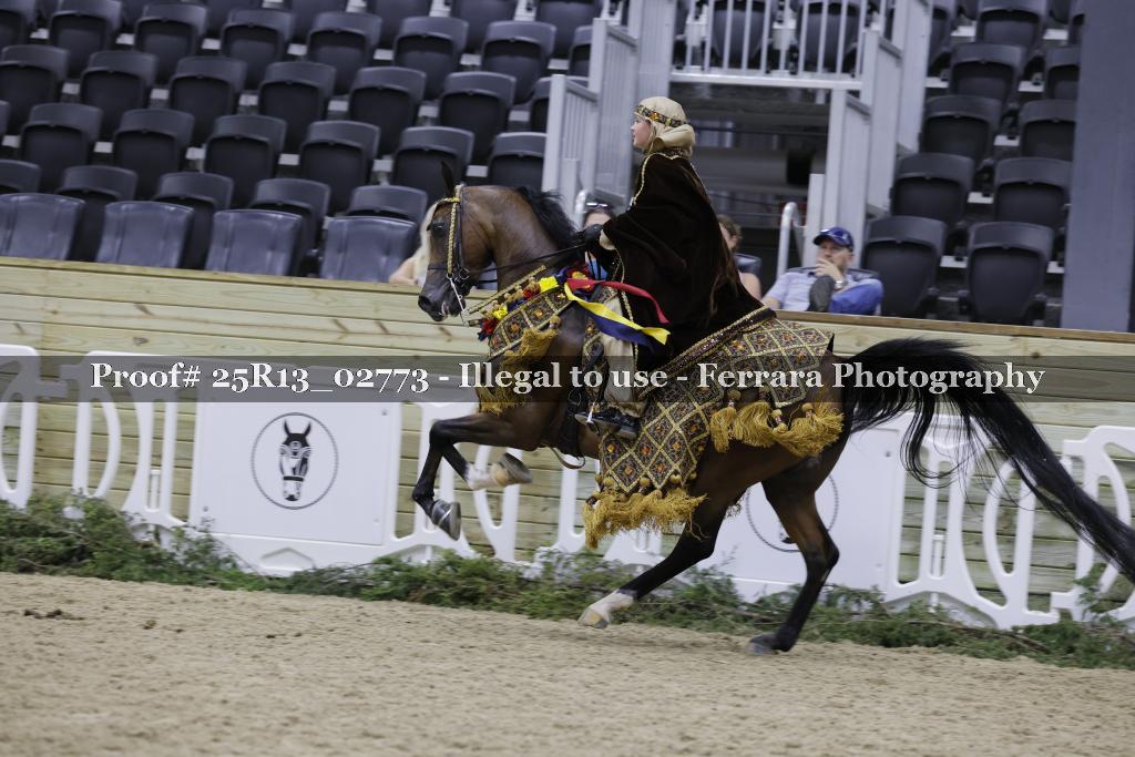 Proof Number 25R13_02773