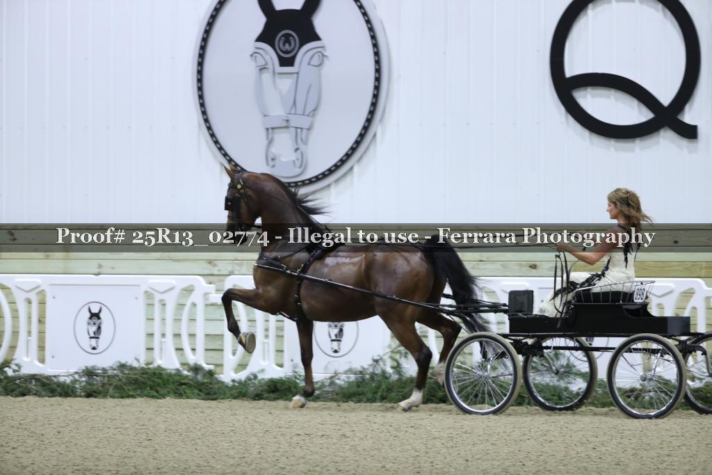 Proof Number 25R13_02774
