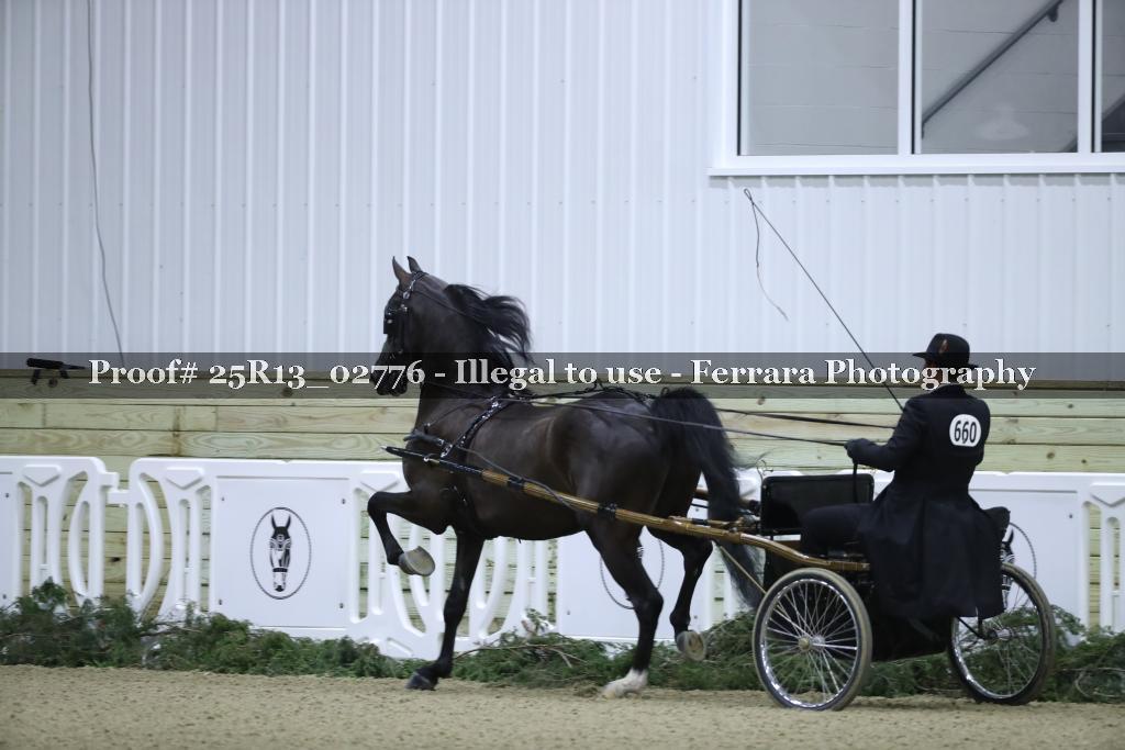 Proof Number 25R13_02776