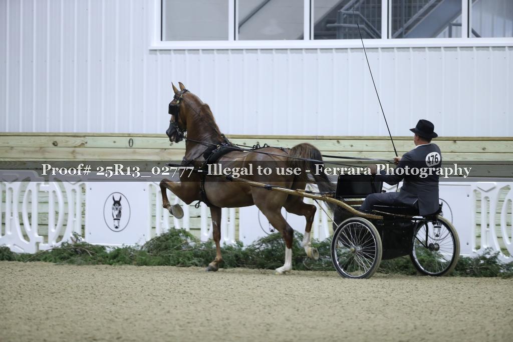 Proof Number 25R13_02777