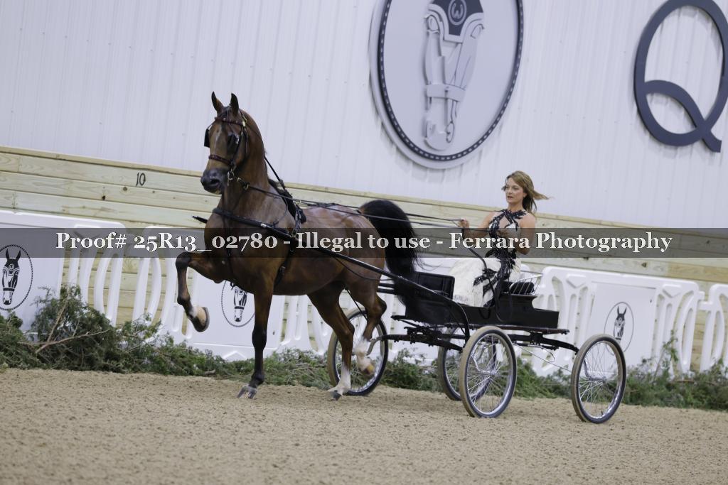 Proof Number 25R13_02780