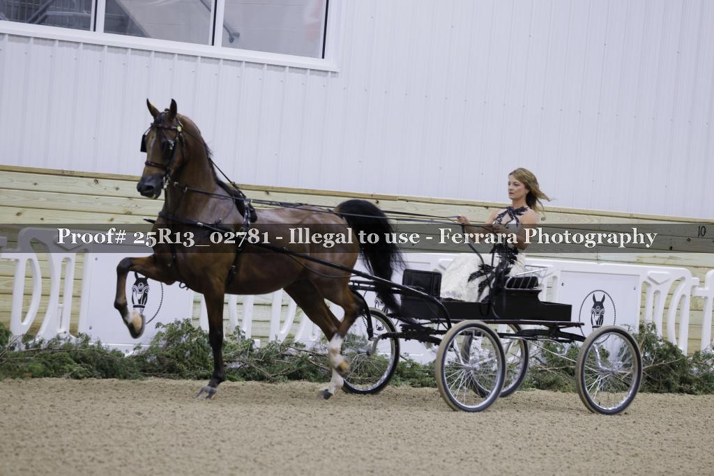 Proof Number 25R13_02781