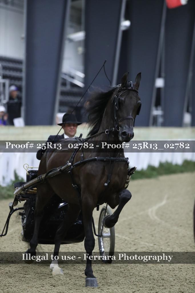 Proof Number 25R13_02782