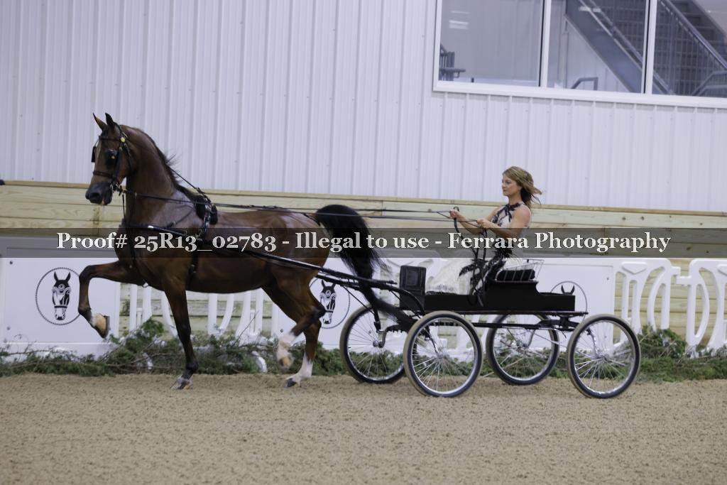 Proof Number 25R13_02783
