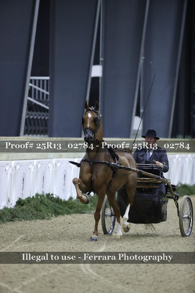 Proof Number 25R13_02784