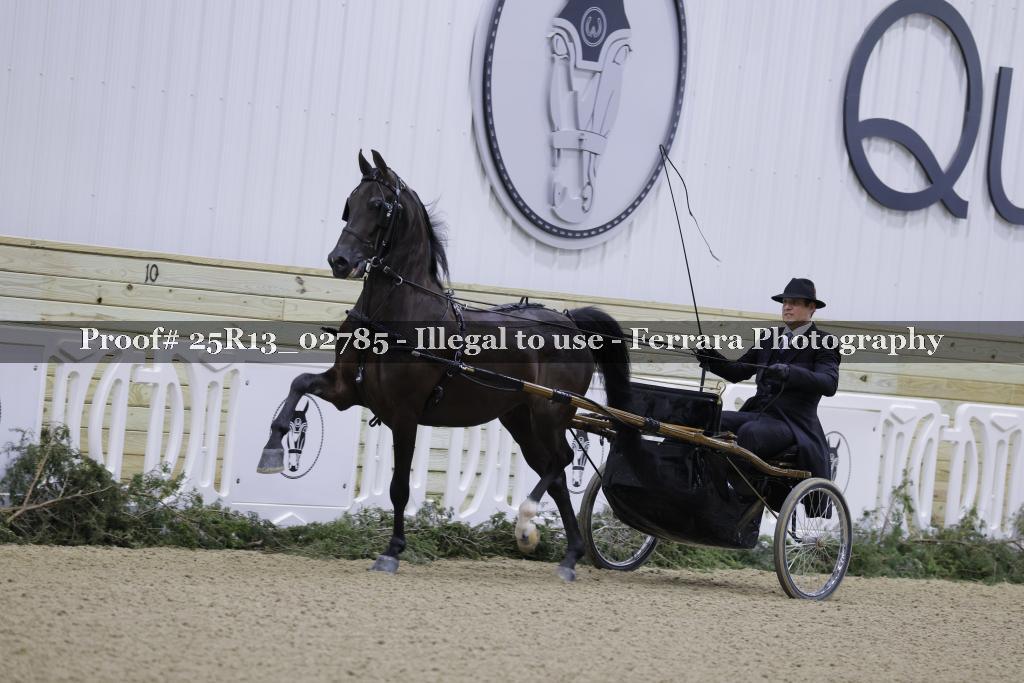 Proof Number 25R13_02785