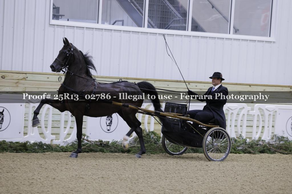 Proof Number 25R13_02786
