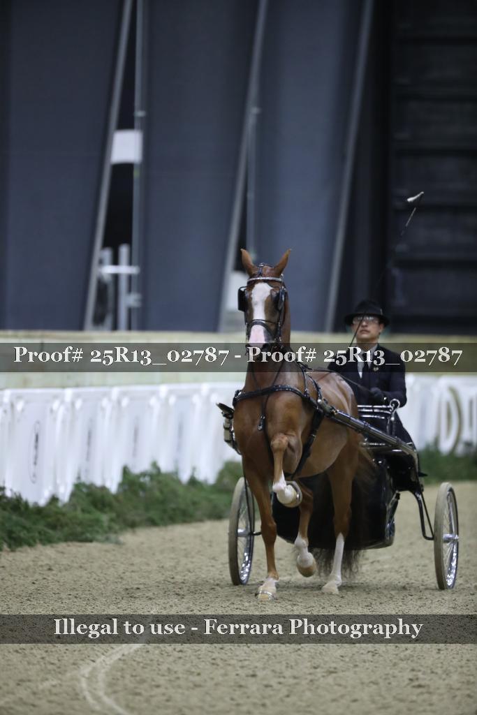 Proof Number 25R13_02787