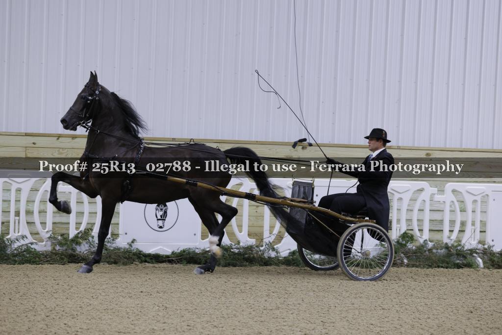 Proof Number 25R13_02788