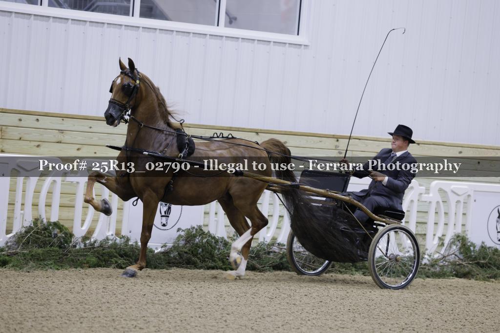 Proof Number 25R13_02790
