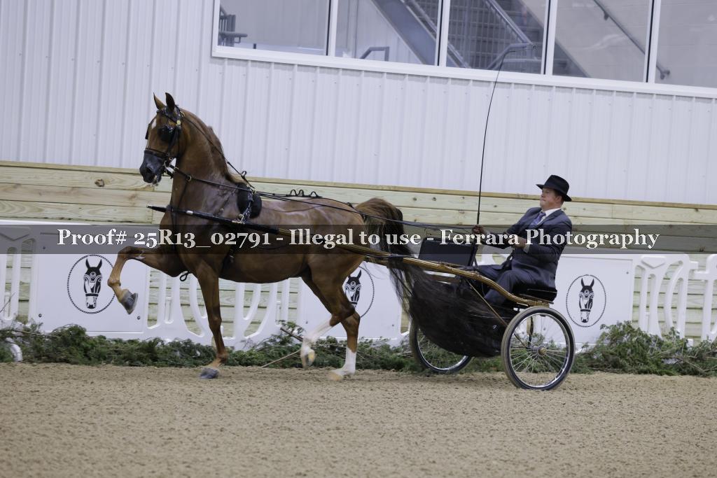 Proof Number 25R13_02791