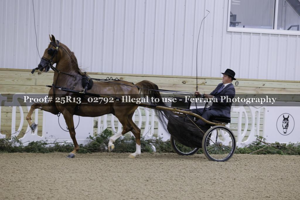 Proof Number 25R13_02792