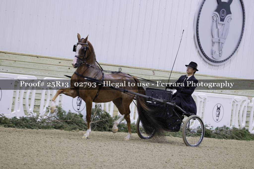 Proof Number 25R13_02793