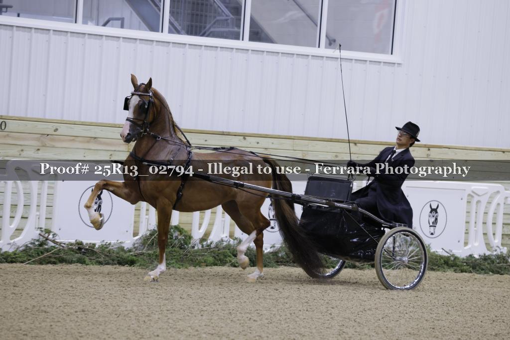 Proof Number 25R13_02794