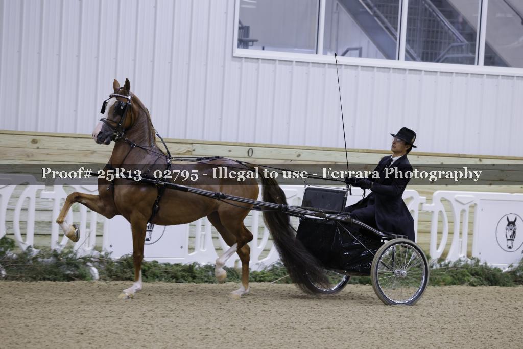 Proof Number 25R13_02795
