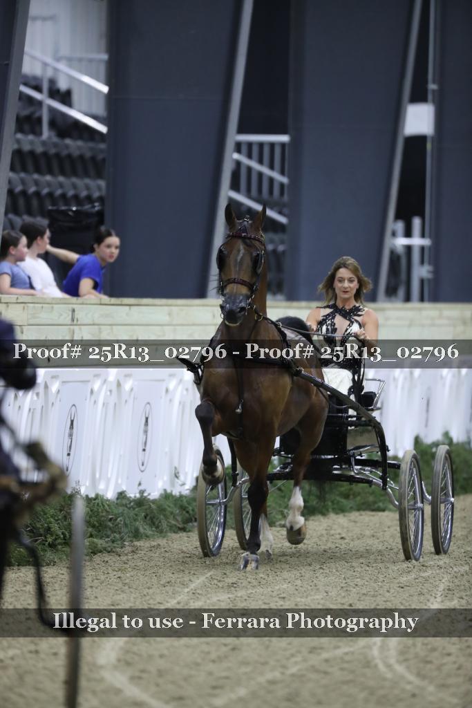 Proof Number 25R13_02796