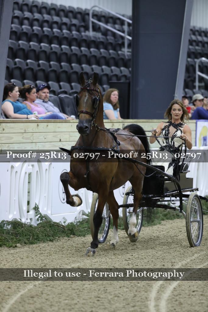 Proof Number 25R13_02797