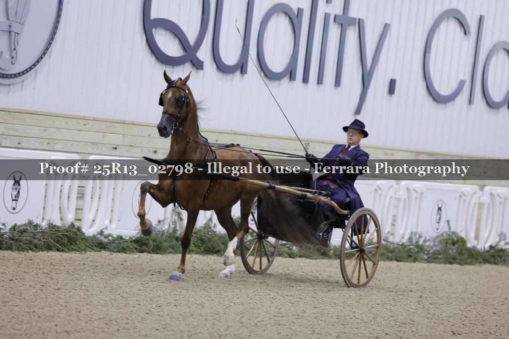 Proof Number 25R13_02798