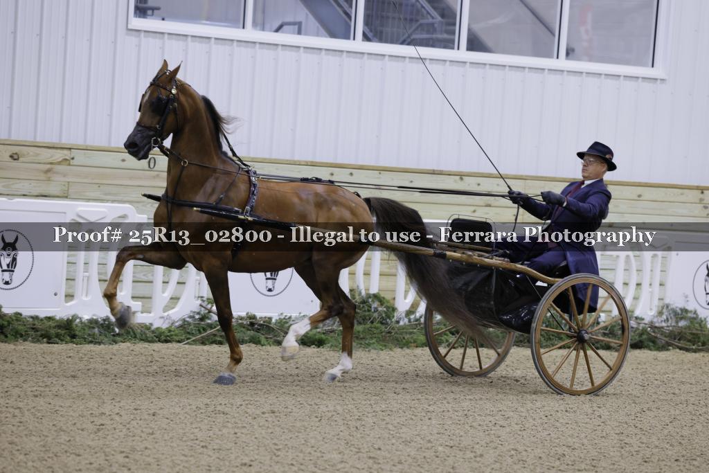 Proof Number 25R13_02800