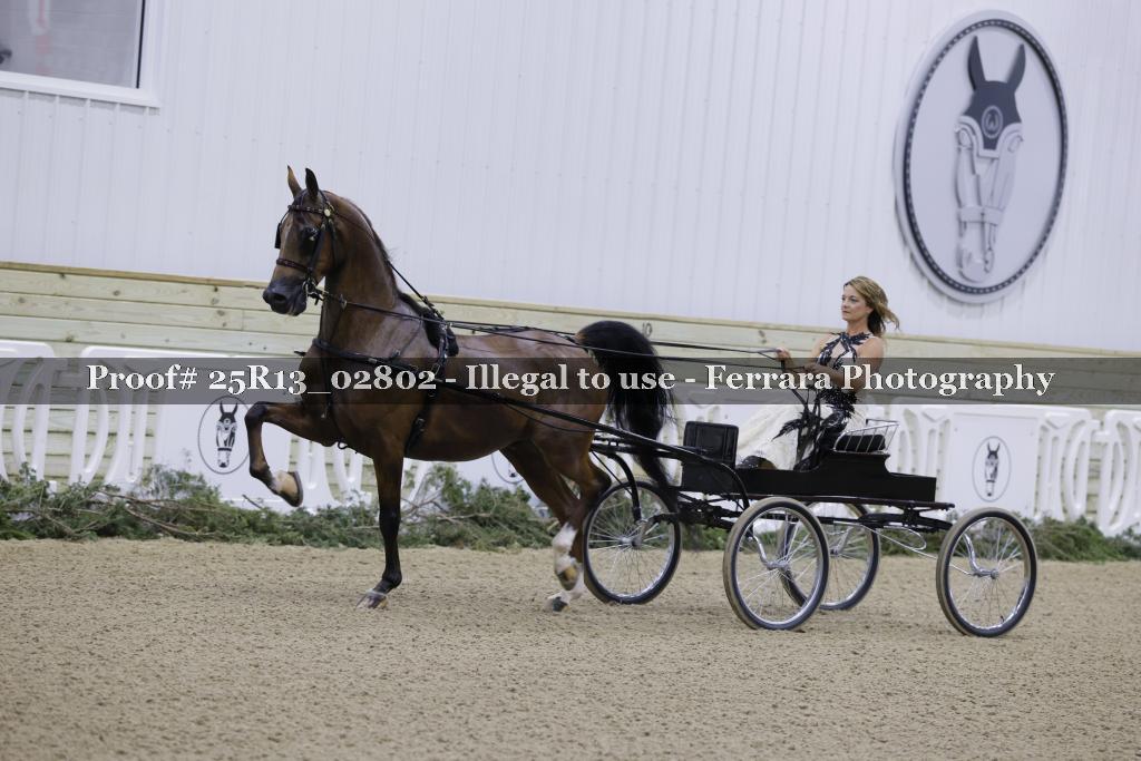 Proof Number 25R13_02802