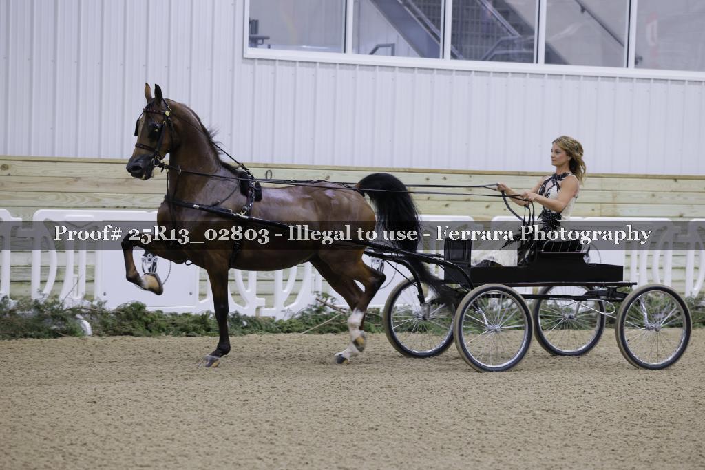Proof Number 25R13_02803