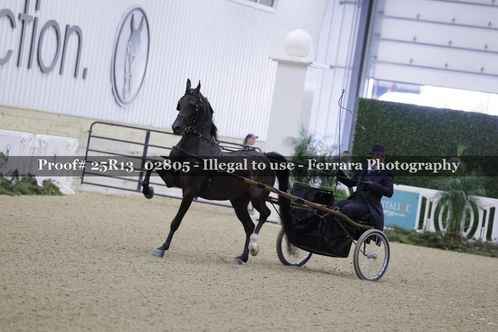 Proof Number 25R13_02805