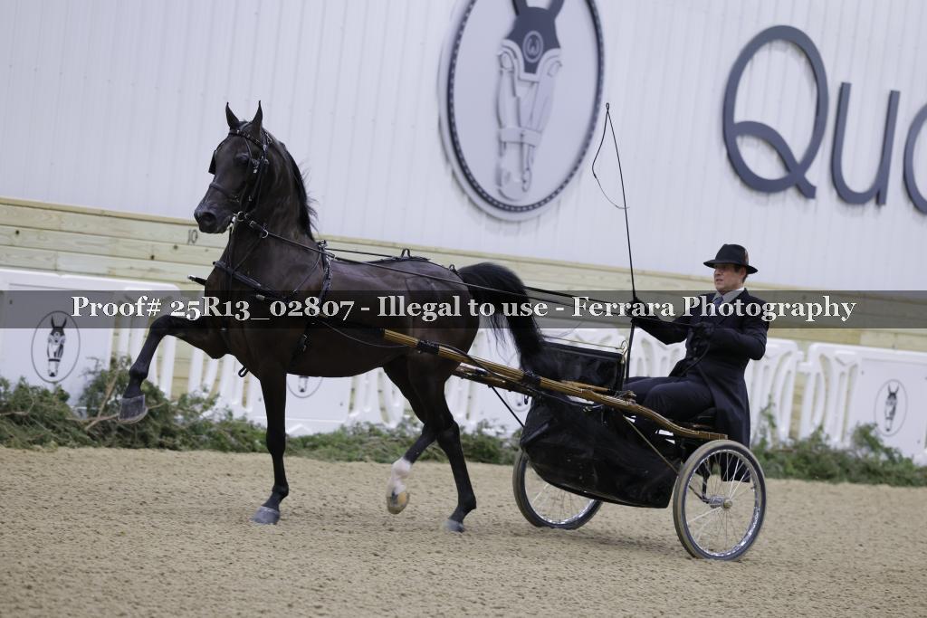 Proof Number 25R13_02807