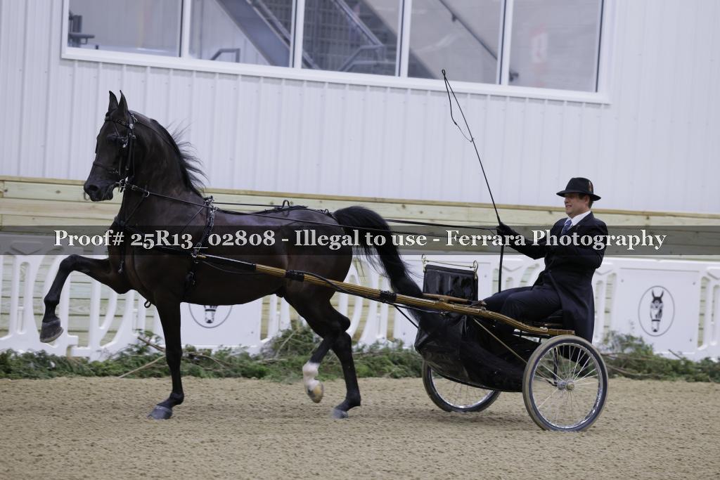 Proof Number 25R13_02808