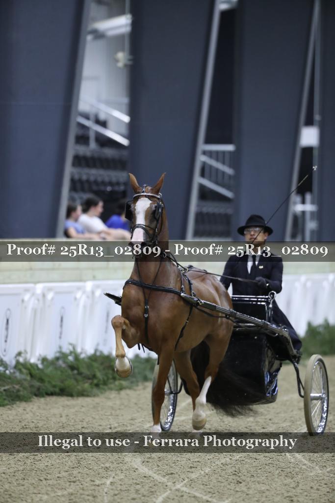 Proof Number 25R13_02809