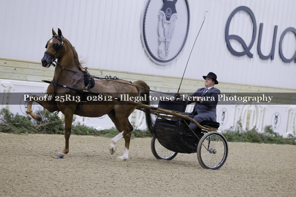 Proof Number 25R13_02812