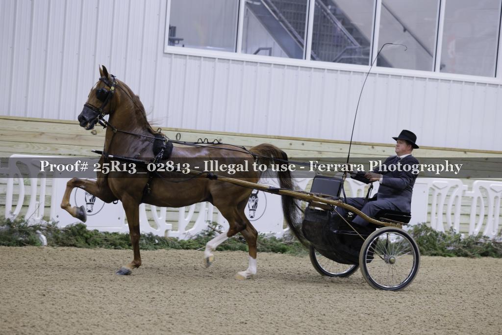 Proof Number 25R13_02813