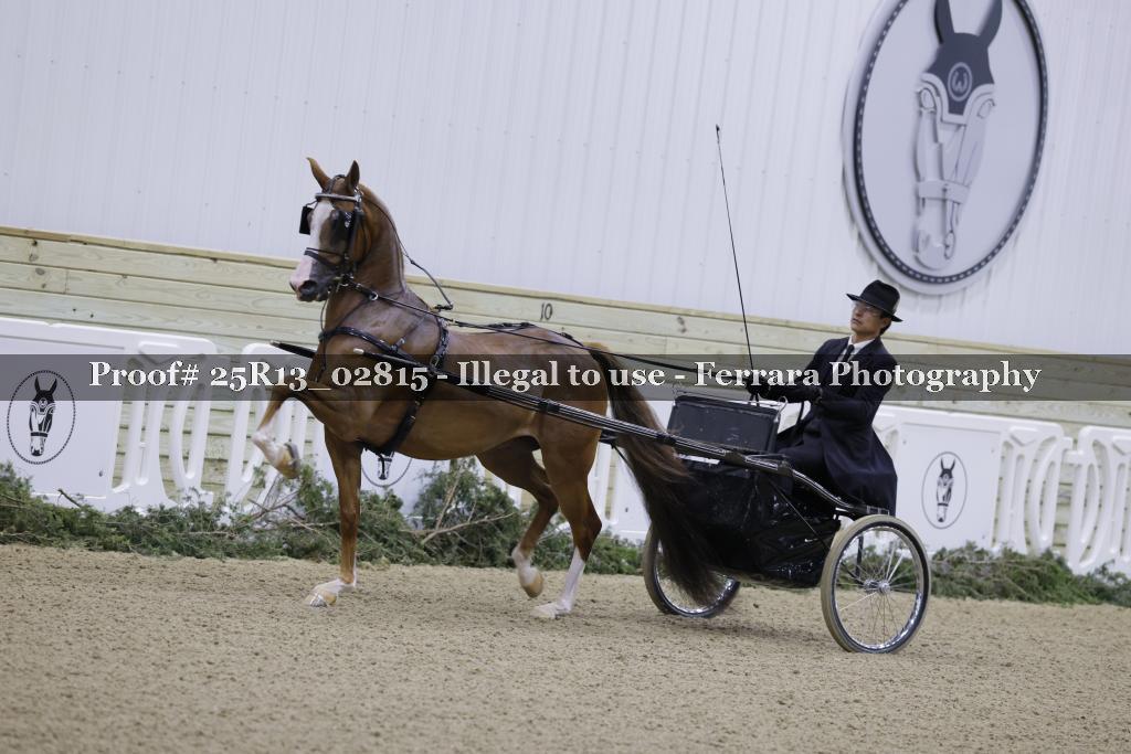 Proof Number 25R13_02815