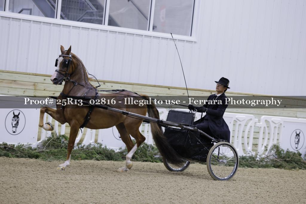 Proof Number 25R13_02816