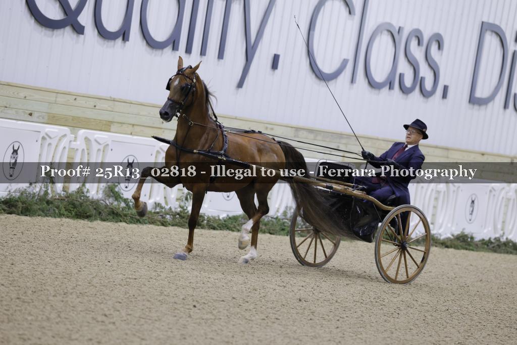 Proof Number 25R13_02818