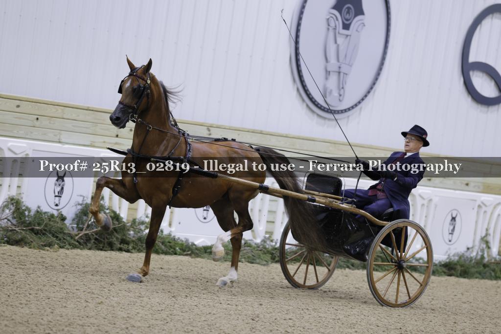 Proof Number 25R13_02819