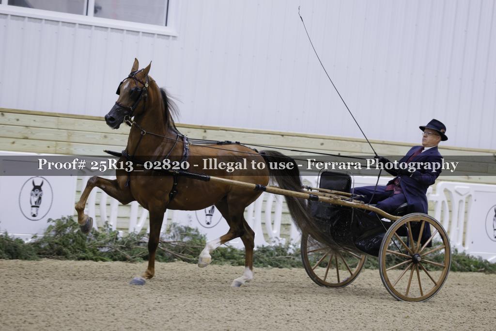 Proof Number 25R13_02820
