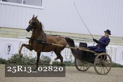 25R13_02820 thumbnail