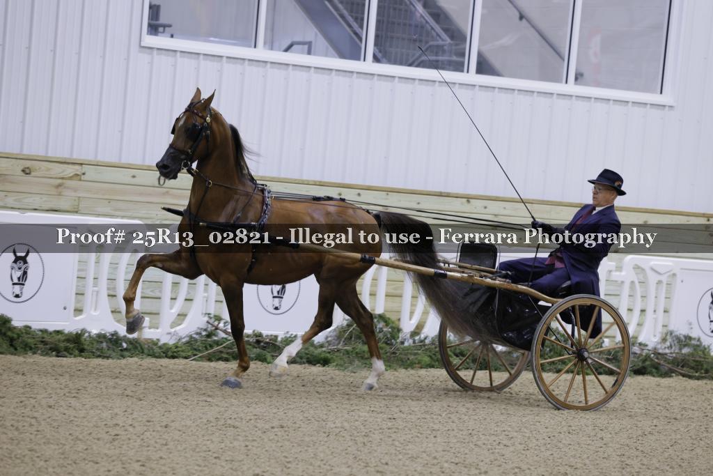 Proof Number 25R13_02821