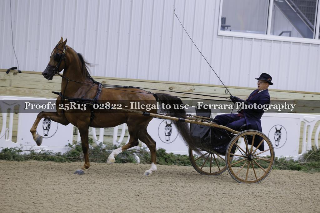 Proof Number 25R13_02822