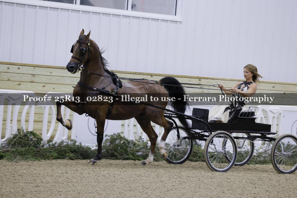 Proof Number 25R13_02823