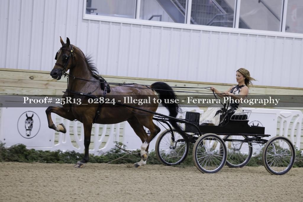 Proof Number 25R13_02824