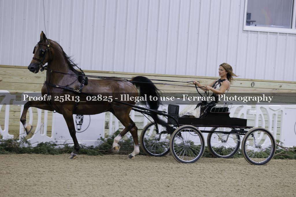Proof Number 25R13_02825