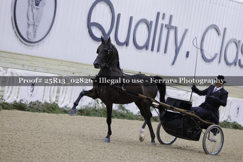 Proof Number 25R13_02826
