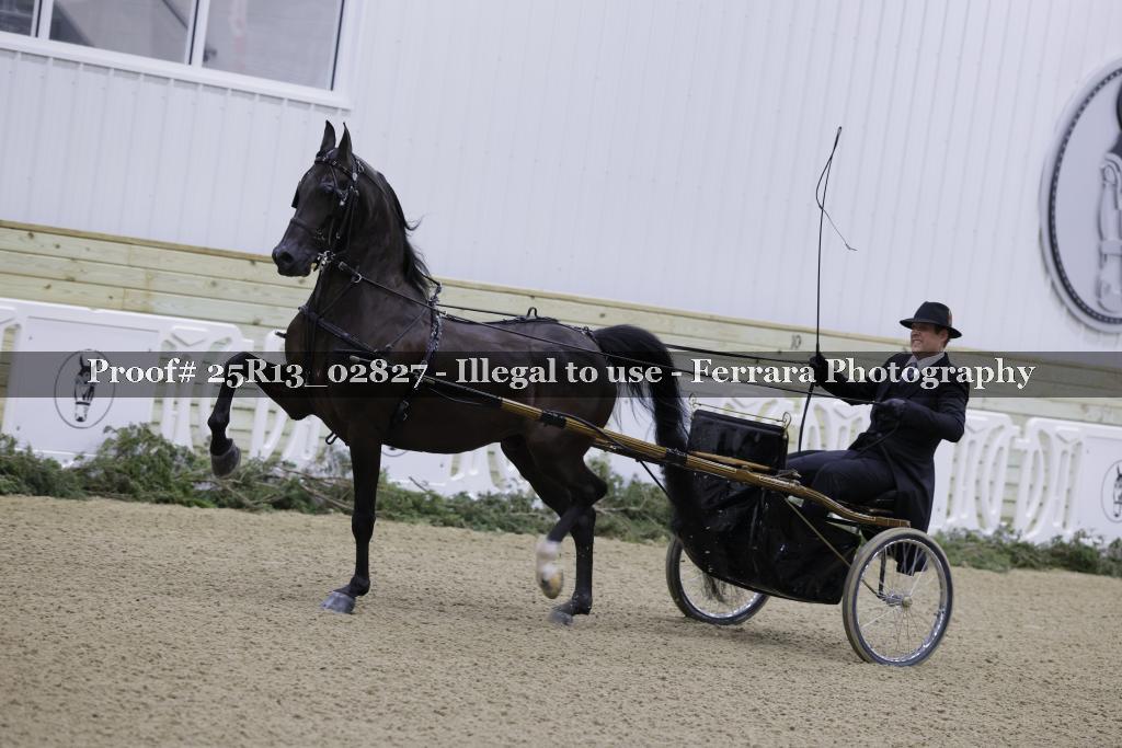 Proof Number 25R13_02827
