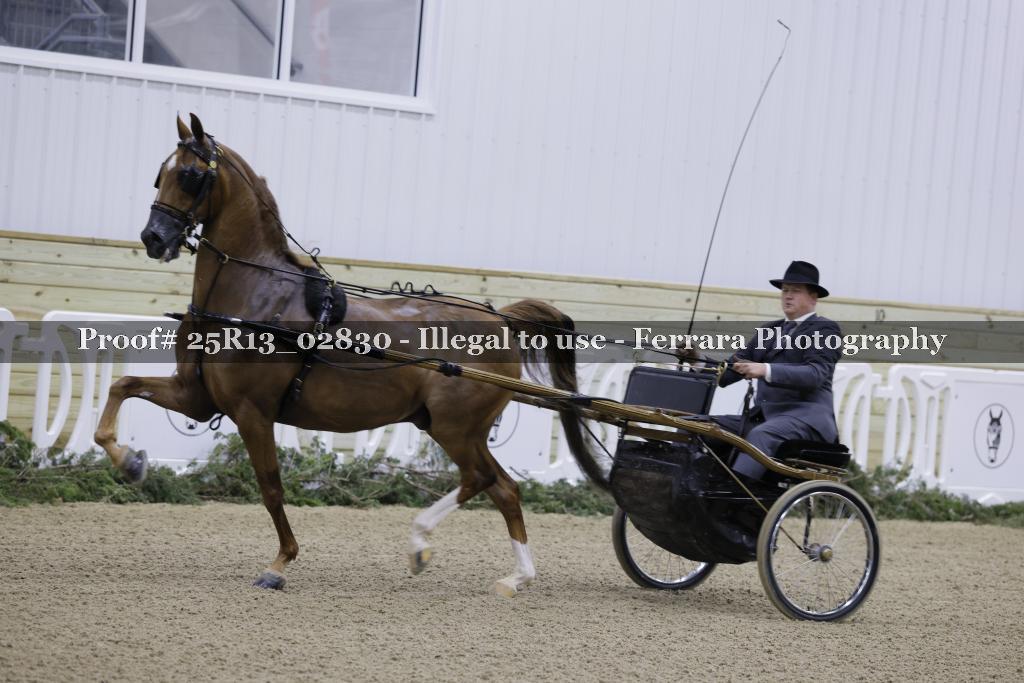 Proof Number 25R13_02830