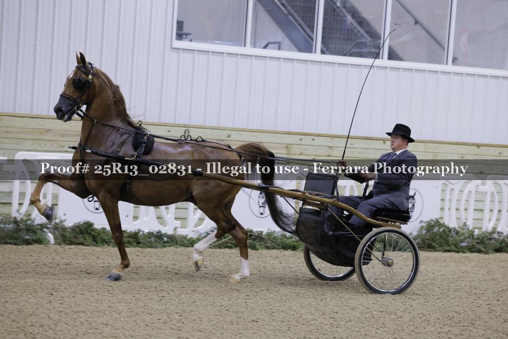 Proof Number 25R13_02831