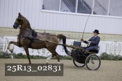 25R13_02831 thumbnail
