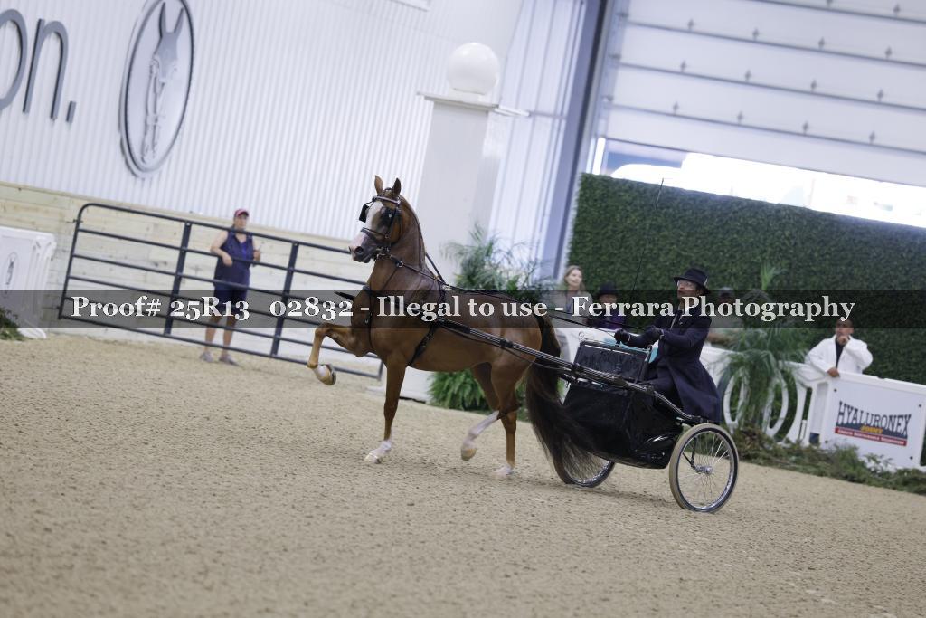 Proof Number 25R13_02832